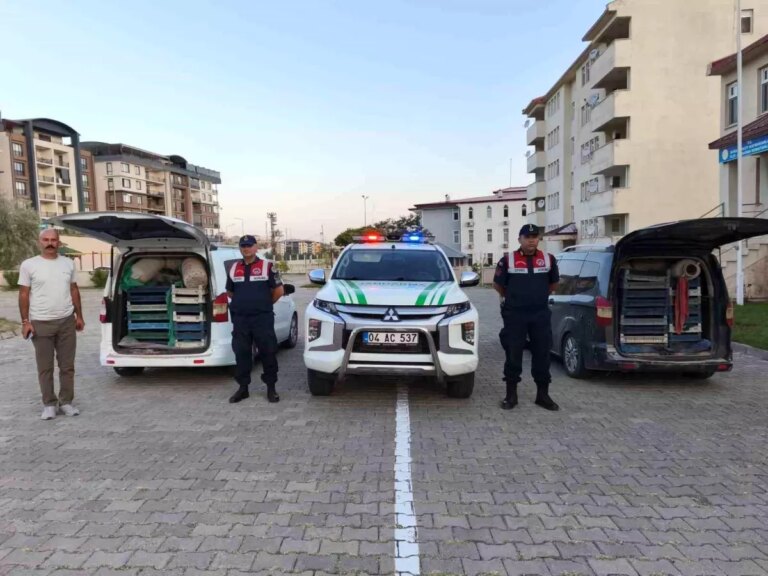 agrida-kacak-kurbaga-operasyonu-z3JrTu8Z.jpg