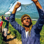 koye-donen-genclere-bedelsiz-arazi-dusuk-faizli-kredi-ve-ev-destegi-XrFsEtPg.png