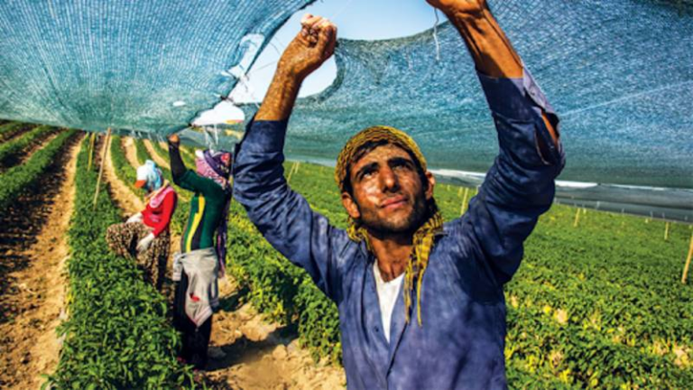 koye-donen-genclere-bedelsiz-arazi-dusuk-faizli-kredi-ve-ev-destegi-XrFsEtPg.png