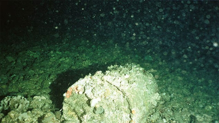 atlantikteki-radyoaktif-saatli-bomba-patlamayi-bekliyor-ZIGgrfHj.jpg