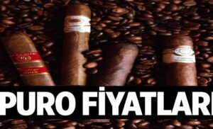Puro Fiyatlari 1024x622Il4.jpg