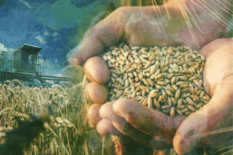 abdde 42 milyon kisiye kotu haber abd tarim bakanligi ek beslenme yardimlarinin kasimda yapilmayacagini acikladi h1JATzEb.png