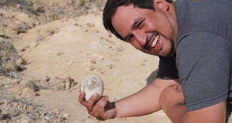 sanki dun birakilmis gibi 70 milyon yillik dinozor yumurtasi bulundu DqY6MTJO.jpg