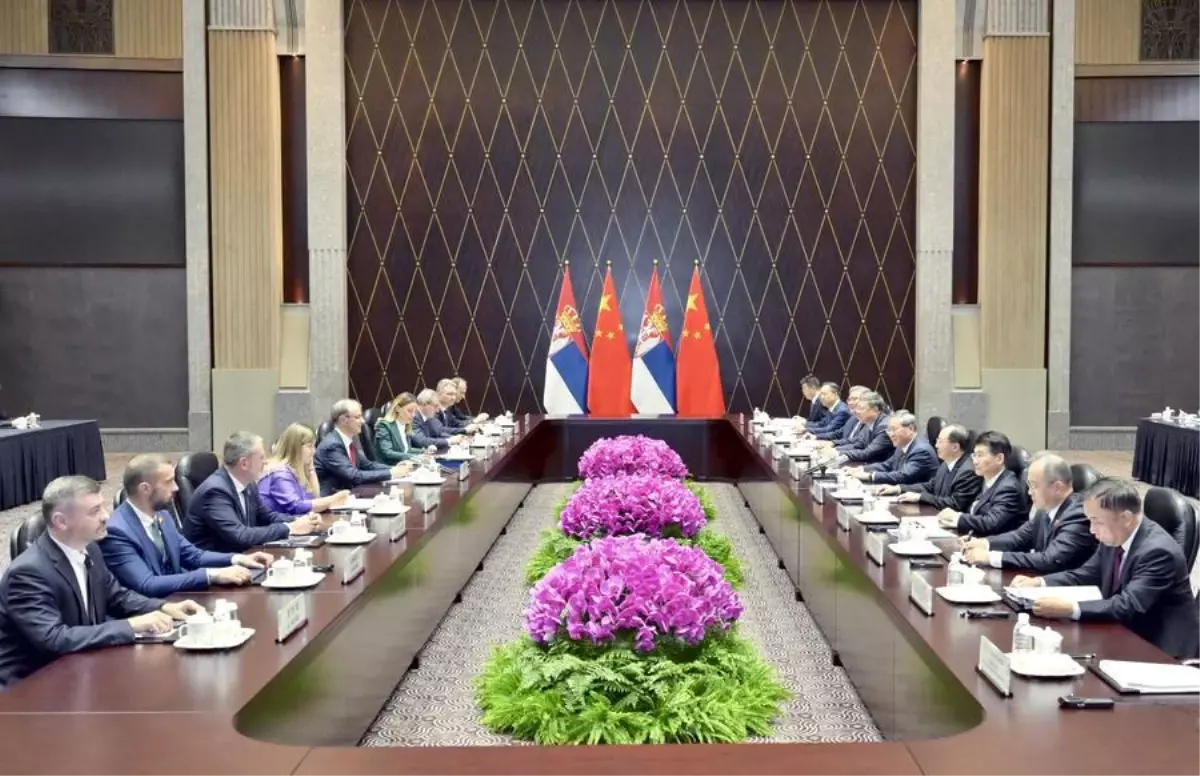 cin ve sirbistan arasindaki isbirligi gucleniyor 2w27vv9m.jpg