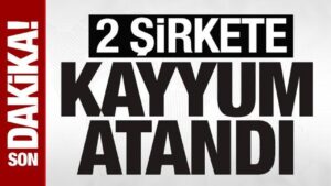 hat holding ve investco holdinge tmsf kayyum olarak atandi XUzrZprC.jpg