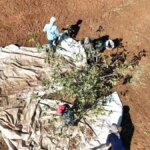 idilde fistik hasadi bereket getirdi SySiN4hQ.jpg