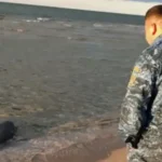 kazakistanin hazar denizi kiyisinda 100den fazla fok olu bulundu aEHzM619.webp