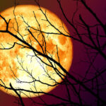 yilin en parlak dolunayi super ay ne zaman saat kacta ve nereden gorulecek 5 kasim super ay kunduz dolunayi turkiyeden izlenecek mi tfTACVlB.jpg