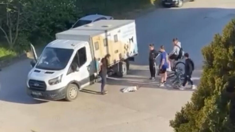 insanlik-dersini-cocuklar-verdi-golcukteki-o-anlar-herkesi-duygulandirdi-CikEkANf