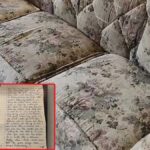 60 yil once tek tek olacaklari yazan kehanet mektubu bulundu bKZv8T8x